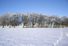 Snow-covered fields near the village